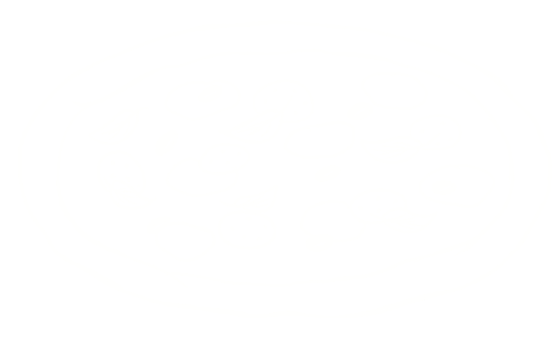 illustration pizza
