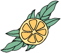 illustration citron