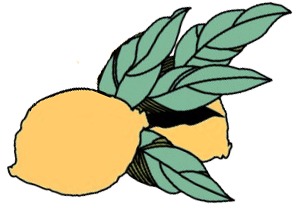 illustration citron